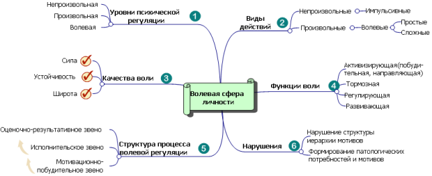 Психические процессы ментальная карта