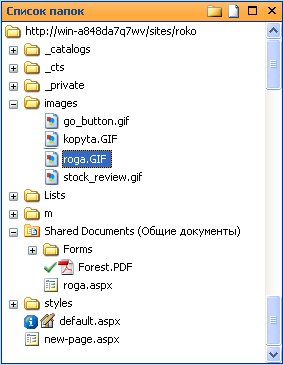 Расположение файла с рисунком на сервере (вид из SharePoint Designer )