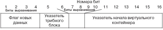 Структура поля полезной нагрузки одного виртуального контейнера при передаче сигналов поток E1 в терминальном блоке TU-12 в плавающем режиме