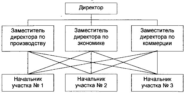  Функциональная структура управления 