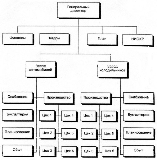  Дивизиональная продуктовая структура управления 