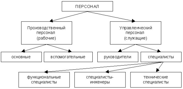  Состав персонала организации 