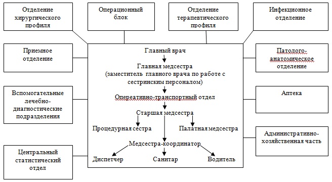 Структура медицинской помощи в виде схемы