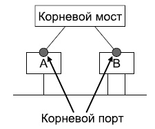 Корневой порт