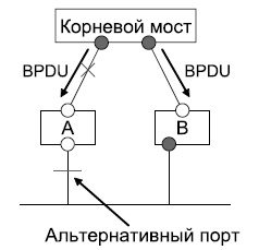  Альтернативный порт