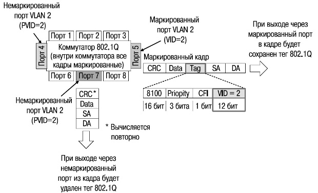 Маркированный кадр, передаваемый через маркированный и немаркированный порты