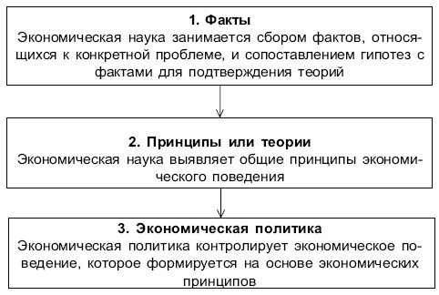  Соотношение между фактами, принципами и политикой в экономике 