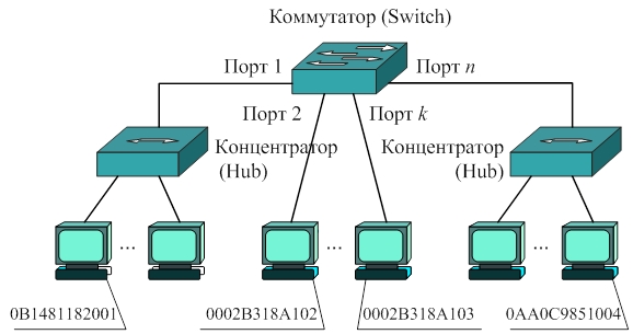 Сеть на базе коммутатора