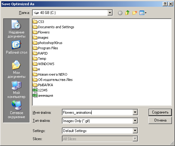 Окно сохранения GIF анимации