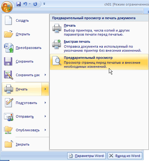 Выполнение команды Файл-Предварительный просмотр