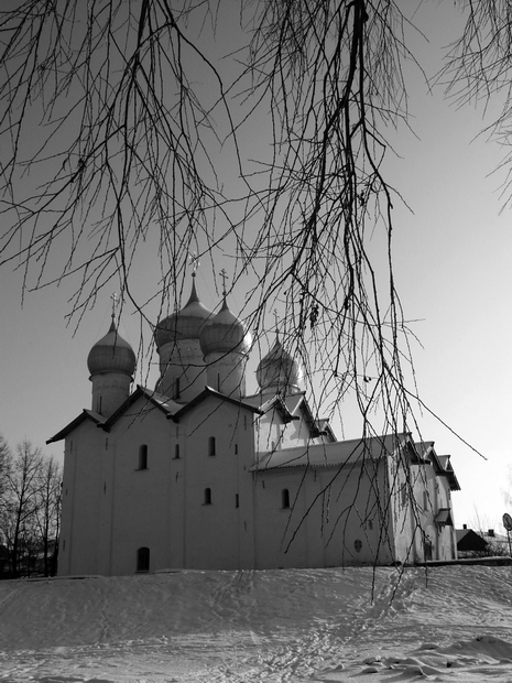 Ветки дерева на переднем плане подчеркивают удаленность памятника (глубину пространства) 