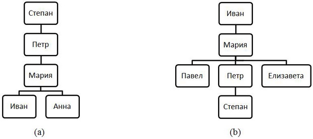(a) Дерево предков Степана; (b) дерево потомков Ивана 