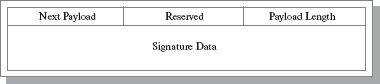 Формат Signature Payload