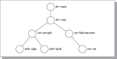 Пример дерева Каталога