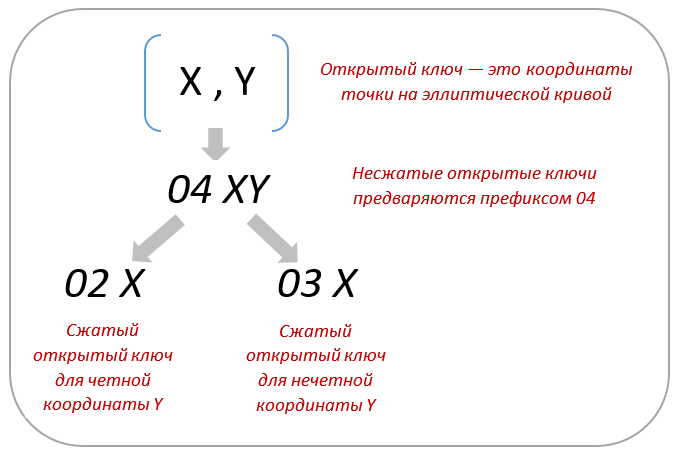 Формирование сжатых открытых ключей