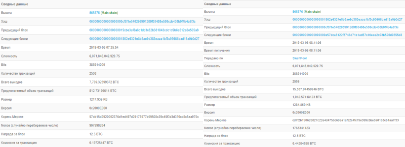 Краткая статика блоков блокчейна Биткоина с высотами 565 875 и 565 876