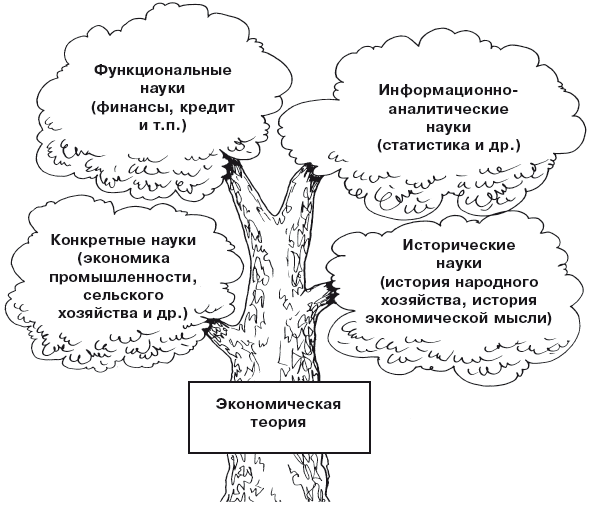 Место экономической теории в системе экономических наук