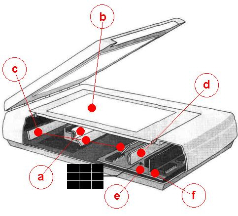 Конструкция планшетного сканера