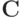 \mathbf{C}