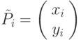 \tilde{P}_i =  \left( \begin{array}{c} 
x_i \\ 
y_i 
\end{array} \right)