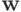 \mathbf{w}
