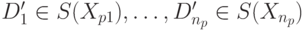 D'_1 \in S(X_{p1}), \ldots , D'_{n_p} \in S(X_{n_p} )