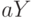 aY
