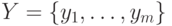 Y=\{y_{1}, \ldots ,y_{m}\}