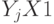 Y_jX1