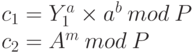 c_1=Y_1^a \times a^b \: mod \: P \\ c_2=A^m \: mod \: P 