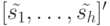 [\tilde {s_1}, \dots, \tilde {s_h}]'