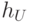 h_U