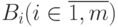 B_{i} (i \in  \overline {1,m})