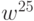 w^{25}