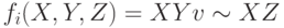 f_i (X, Y, Z) = XY v \sim XZ