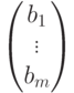 \begin{pmatrix}
b_1\\
\vdots\\
b_m
\end{pmatrix}