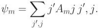 \ket{\psi_m}=\sum_{j',j}\bra{j'}A_m\ket{j}\,\ket{j',j}.