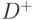 D^+