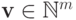 \textbf{v} \in  \mathbb N^m
