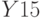Y15