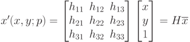 x'(x,y;p)=\begin{bmatrix}
h_{11} & h_{12} & h_{13} \\
h_{21} & h_{22} & h_{23} \\
h_{31} & h_{32} & h_{33}
\end{bmatrix}\begin{bmatrix}
x \\
y \\
1
\end{bmatrix}=H\overline{x}