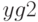 yg2
