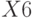 X6