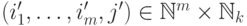 (i_1',\dots,i_m',j')\in
\mathbb N^m\times \mathbb N_k