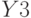 Y3