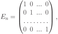 E_n=
\begin{pmatrix}
1 & 0 & ... & 0\\
0 & 1 & ... & 0\\
\hdotsfor{4}\\
0 & 0 & ... & 1
\end{pmatrix},